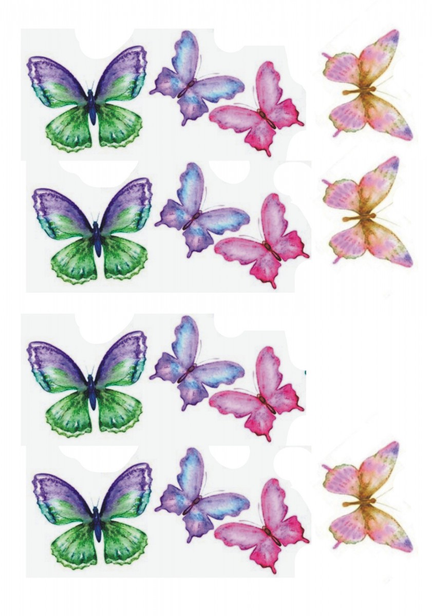 Б102_бабочки разноцветные