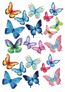 Б105_бабочки разноцветные